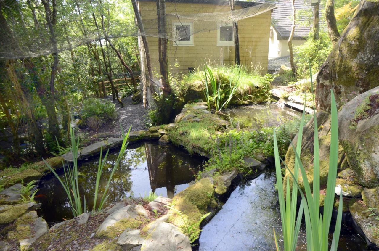 Tawny Lodge Westport Exteriör bild