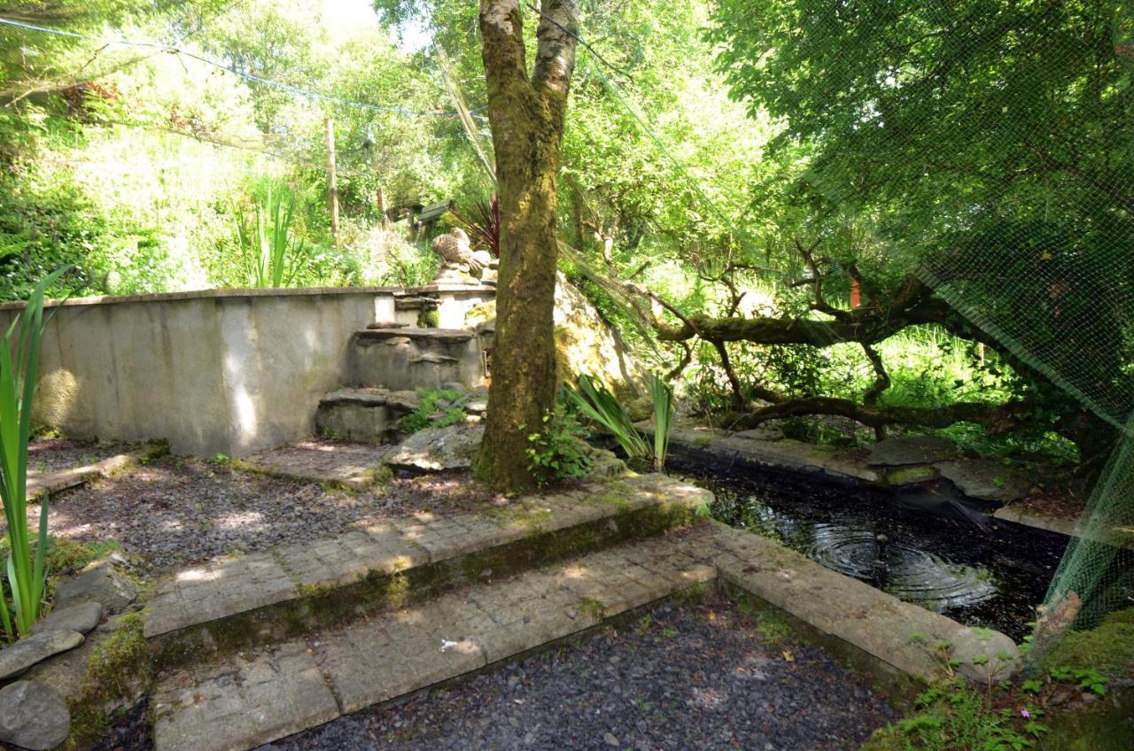 Tawny Lodge Westport Exteriör bild